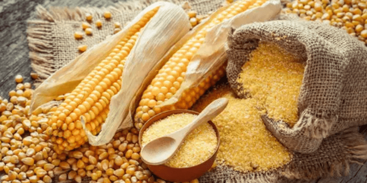 Kapusu Nosu, Filosofi Persaudaraan dan Kekuatan Gotong Royong Masyarakat Sulawesi Tenggara