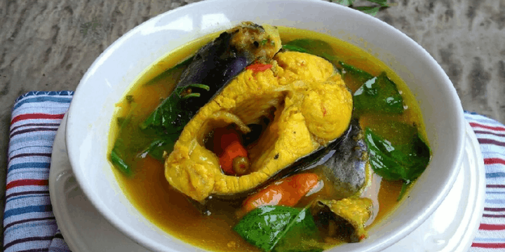 Nilai Ekonomi dan Pelestarian Ikan Patin di Masa Depan
