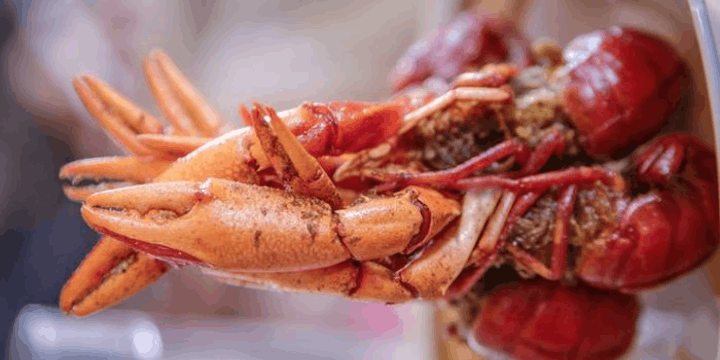 Rahasia Pengolahan Tradisional dan Modern