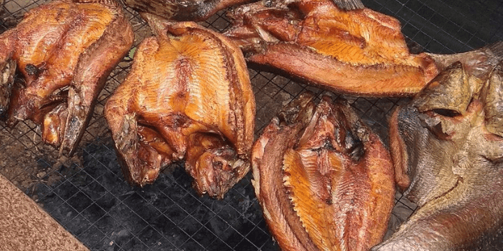 Tantangan Kelestarian di Tahun 2026