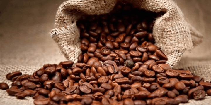 Tantangan dan Harapan Petani Kopi di Papua Pegunungan