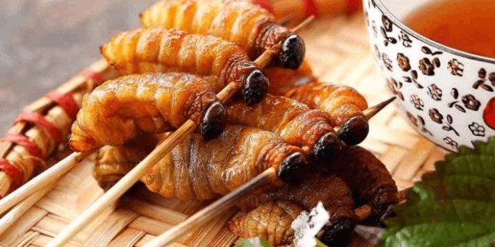 Ulat Sagu, Rahasia Gizi dan Sumber Protein Alami Masyarakat Papua