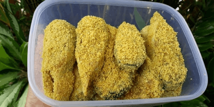 Wadi Patin sebagai Warisan Budaya dan Identitas Dayak